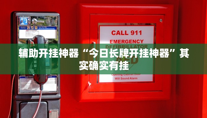 辅助开挂神器“今日长牌开挂神器”其实确实有挂