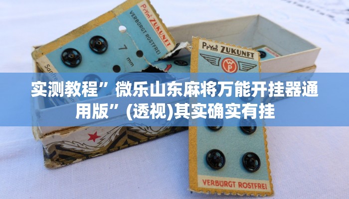 实测教程”微乐山东麻将万能开挂器通用版”(透视)其实确实有挂