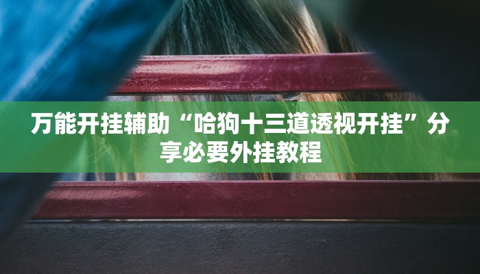 万能开挂辅助“哈狗十三道透视开挂”分享必要外挂教程