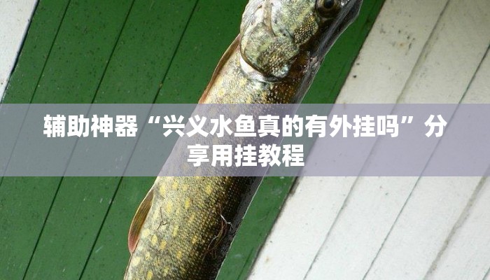 辅助神器“兴义水鱼真的有外挂吗”分享用挂教程