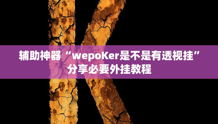 辅助神器“wepoKer是不是有透视挂”分享必要外挂教程