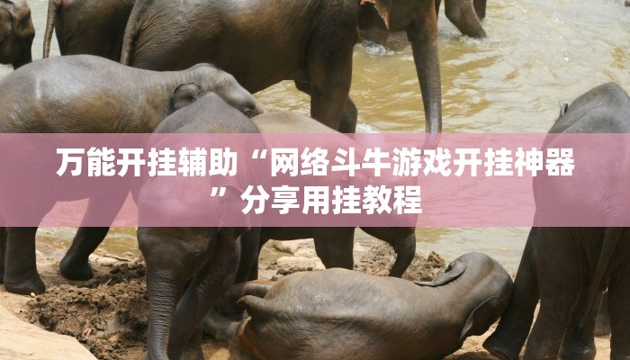 万能开挂辅助“网络斗牛游戏开挂神器”分享用挂教程
