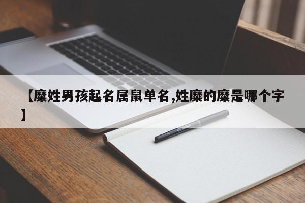 【糜姓男孩起名属鼠单名,姓糜的糜是哪个字】
